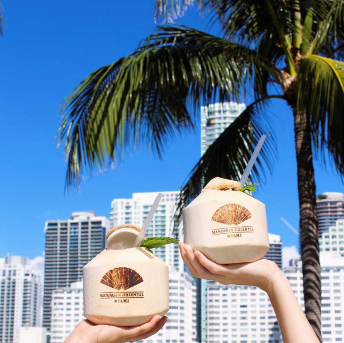 Fresh Coconut Vibes for Every Occasion!