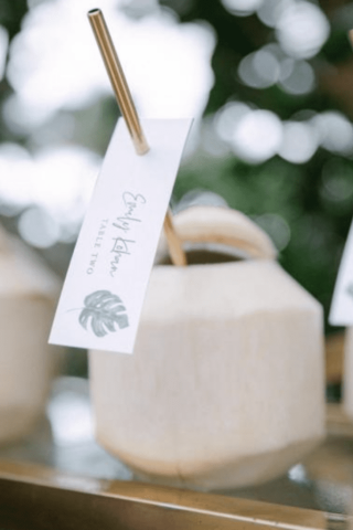 branded coconuts